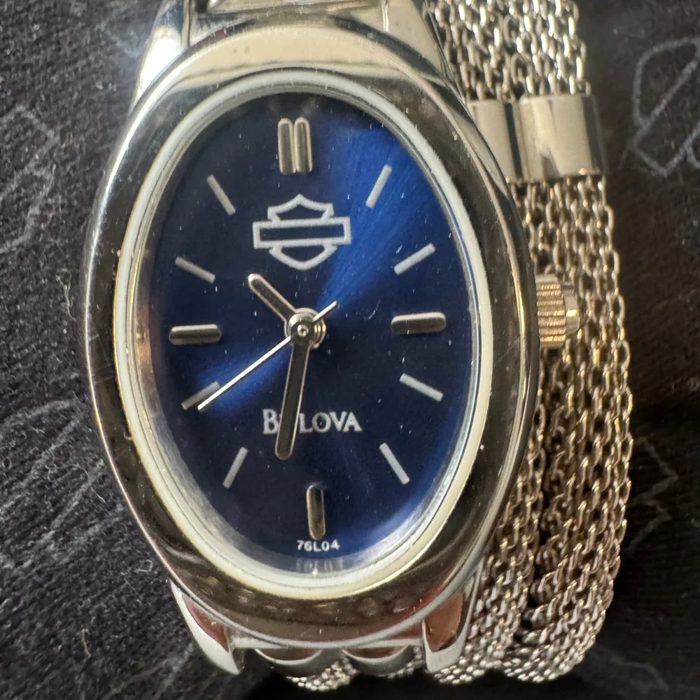 Harley-Davidson Silver and Blue Smartwatch